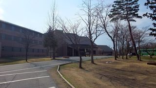 hiruzen1.jpg