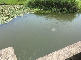 nukusaki (2).jpg